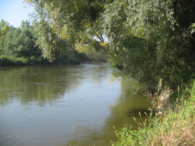 finnek 2011 008